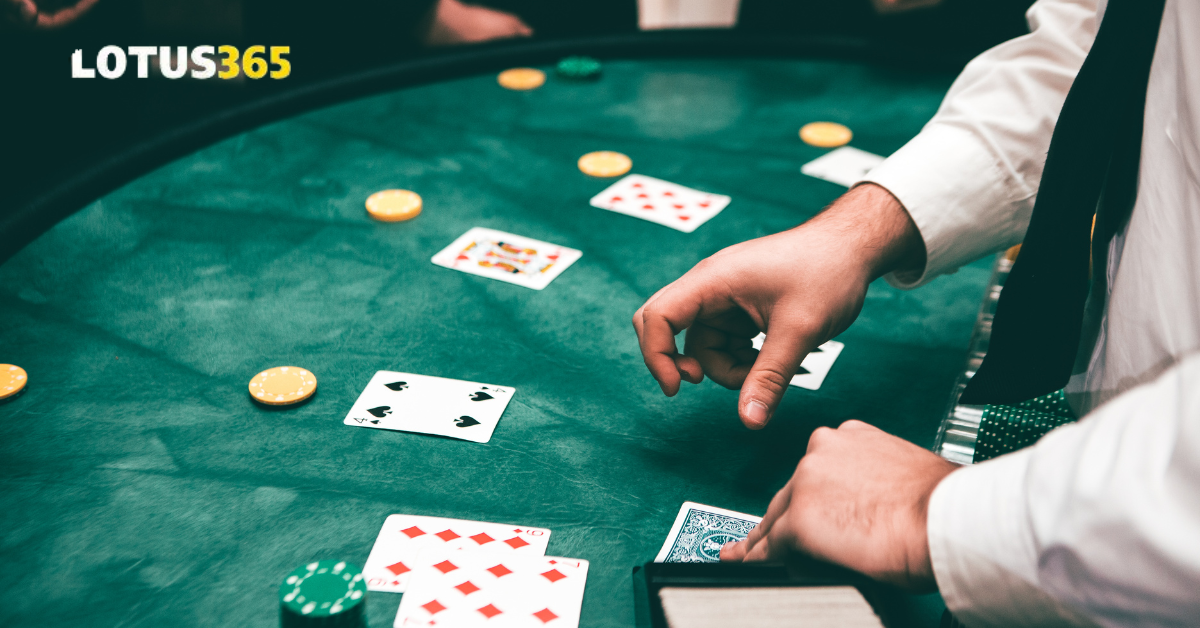 Unlock Daily Rewards & Live Betting Excitement on Lotus365